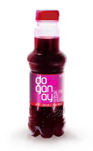 doganay jus de salgam 33cl pimente