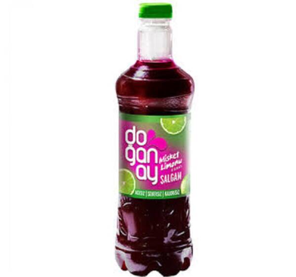 doganay limonlu salgam 1lt